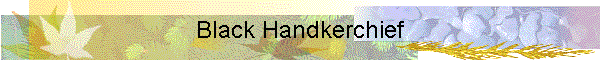 Black handkerchief