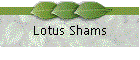 Lotus Shams