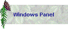 Windows Panel