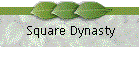 Square Dynasty