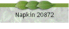 Napkin 20872