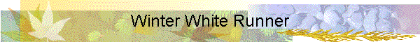 Winter White Runner